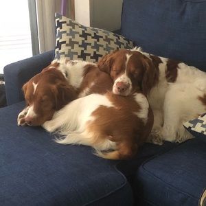 Meet your Posher, Stacy